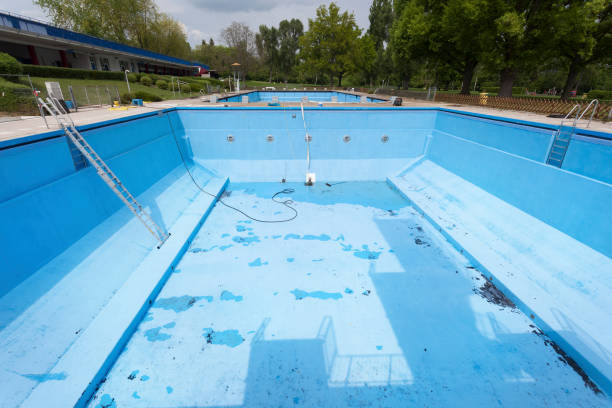 Best Mold removal after water damage  in Festus, MO