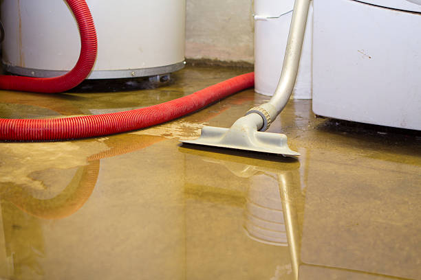 Best Carpet water damage restoration  in Festus, MO